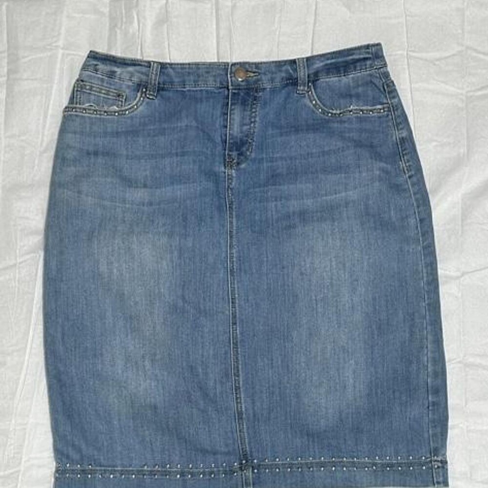 Christopher & Banks Women's Blue Skirt